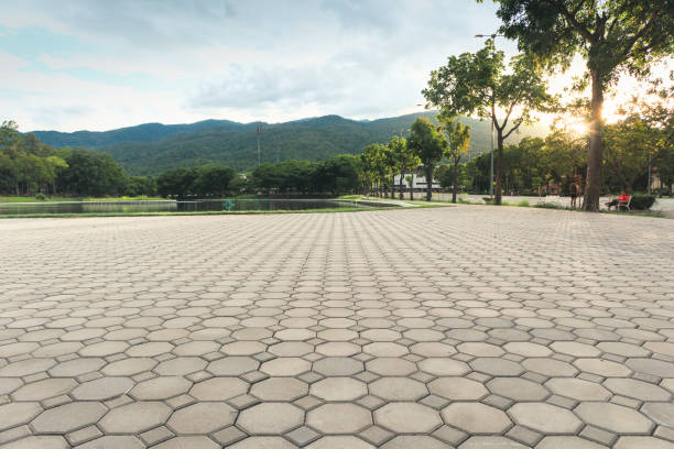 Reasons to Select Us for Your Driveway Paving Requirements in Caryville, TN