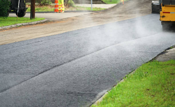 Best Residential Paver Driveway  in Caryville, TN